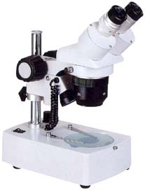 microscopio ottico stereoscopico